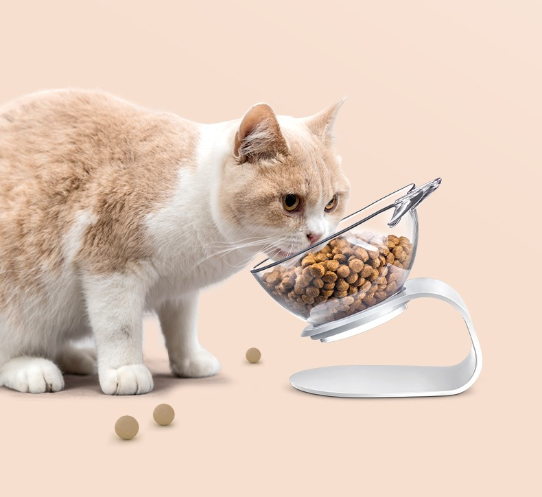 Neck Protection Cat Food Bowl