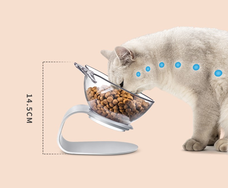 Anti Vomiting Cat Food Bowl Supply
