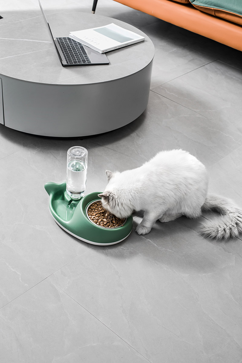 Automatic Cat Feeder For Sale