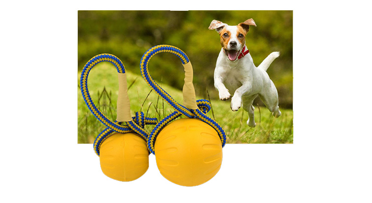 Dog Bite Resistant Toys Ball