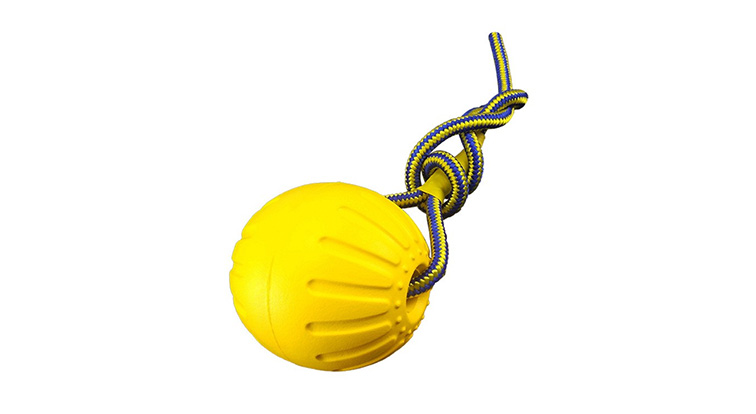 Pet Toys Ball with Rope