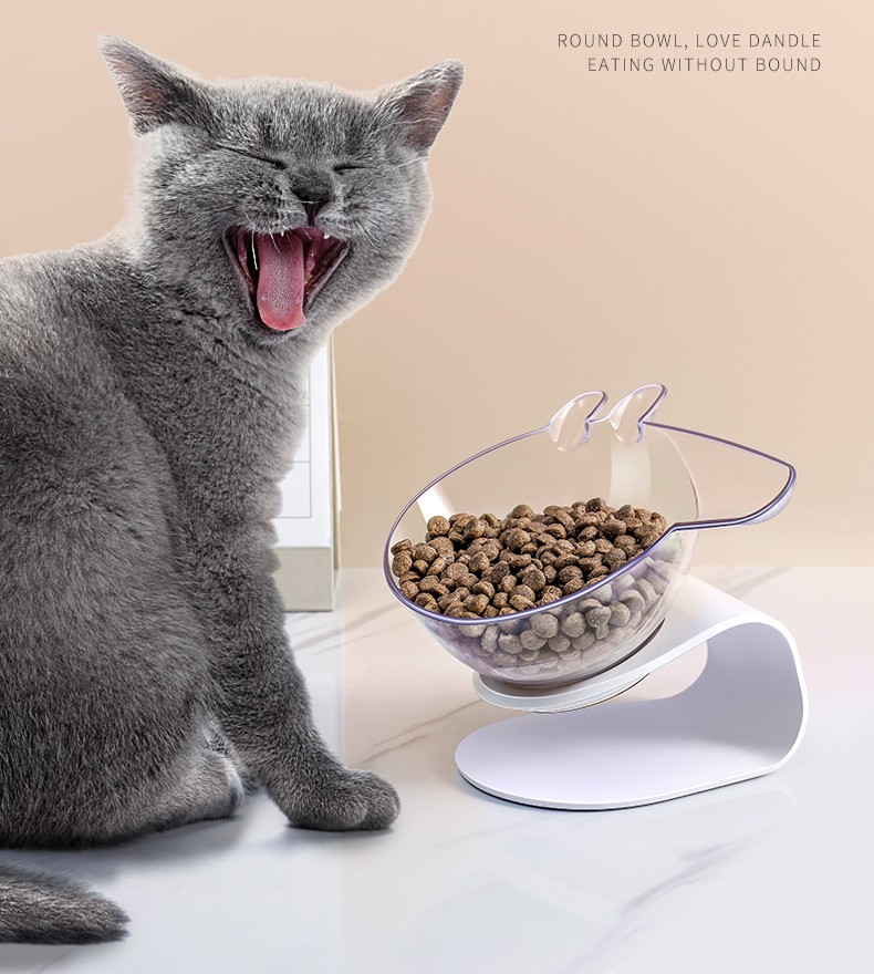 Anti Vomiting Cat Food Bowl