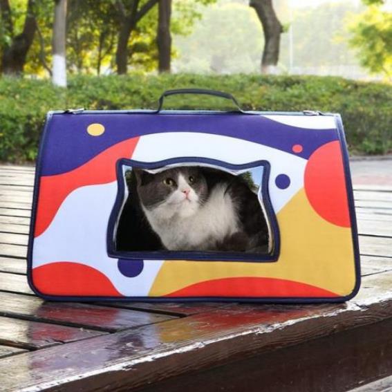keep in the canvas pet bag
